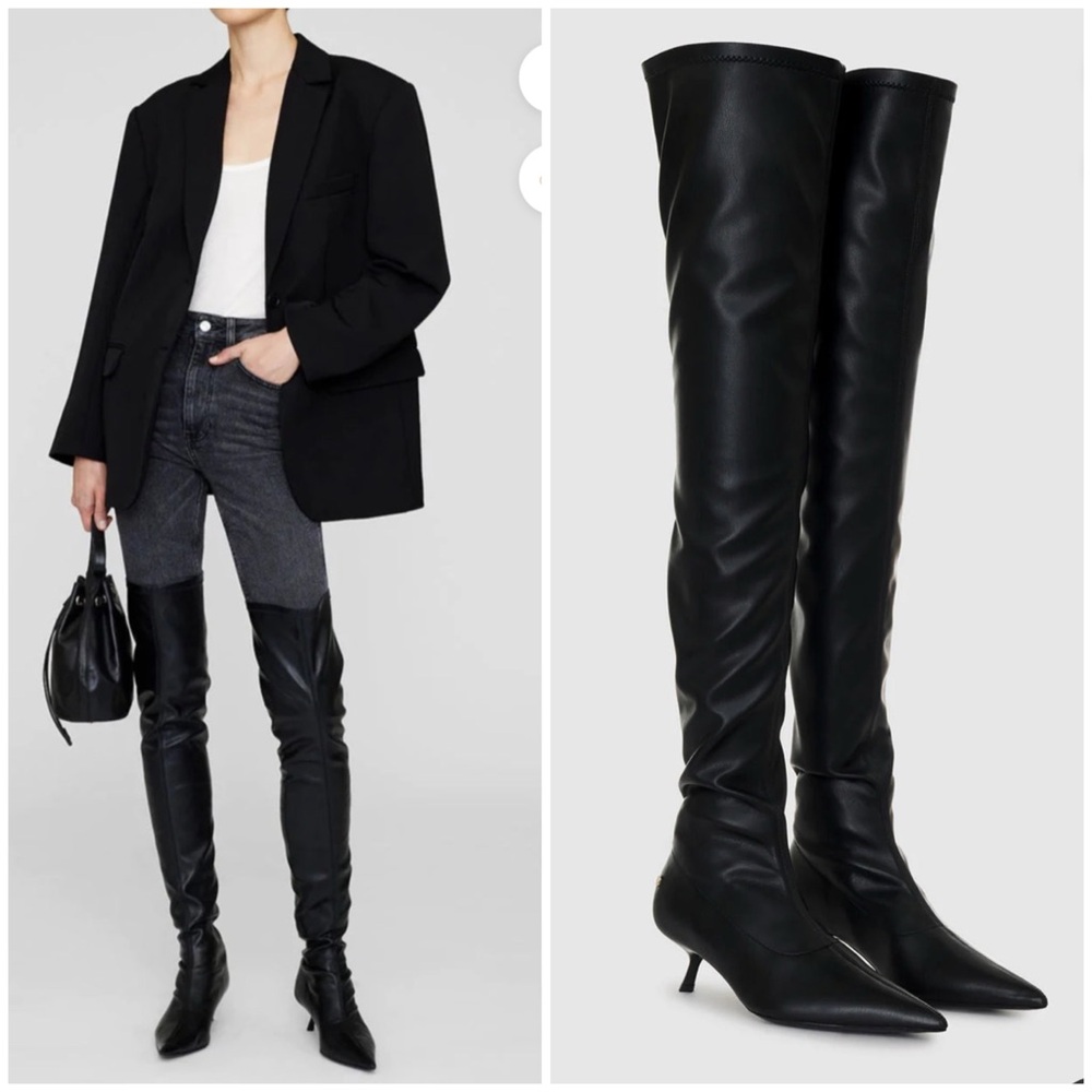 NWOT Anine Bing Hilda over the knee boots kitten heel pointy